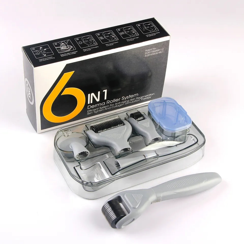 6 in 1 Derma Roller System