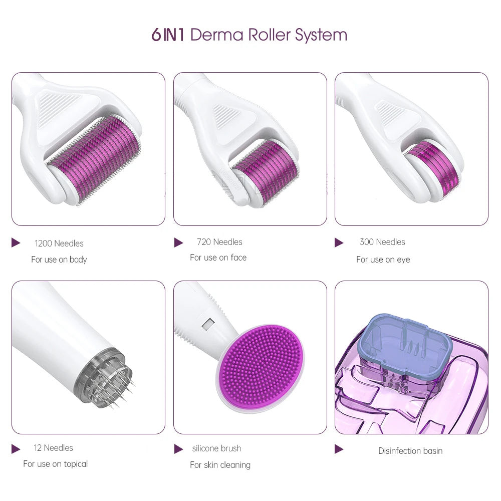 6 in 1 Derma Roller System